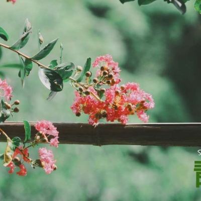 hth体育官方网站